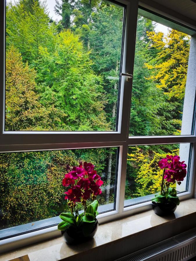 Apartament Kurort Kozubnik Wilcza Wataha Porąbka Extérieur photo